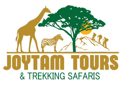 Joytam Tours and Trekking,